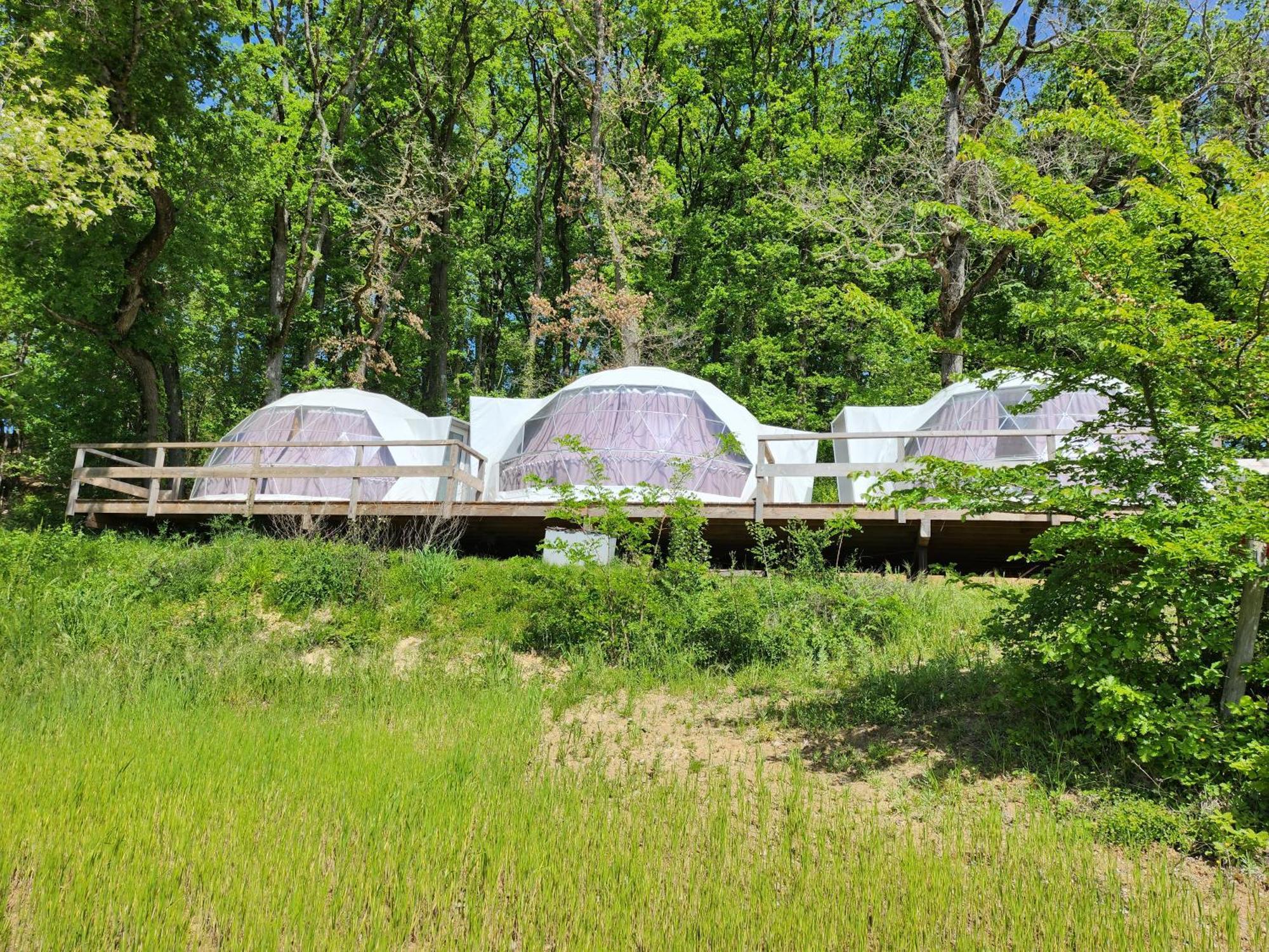 Domaine De Massoulac Molieres  Exterior photo
