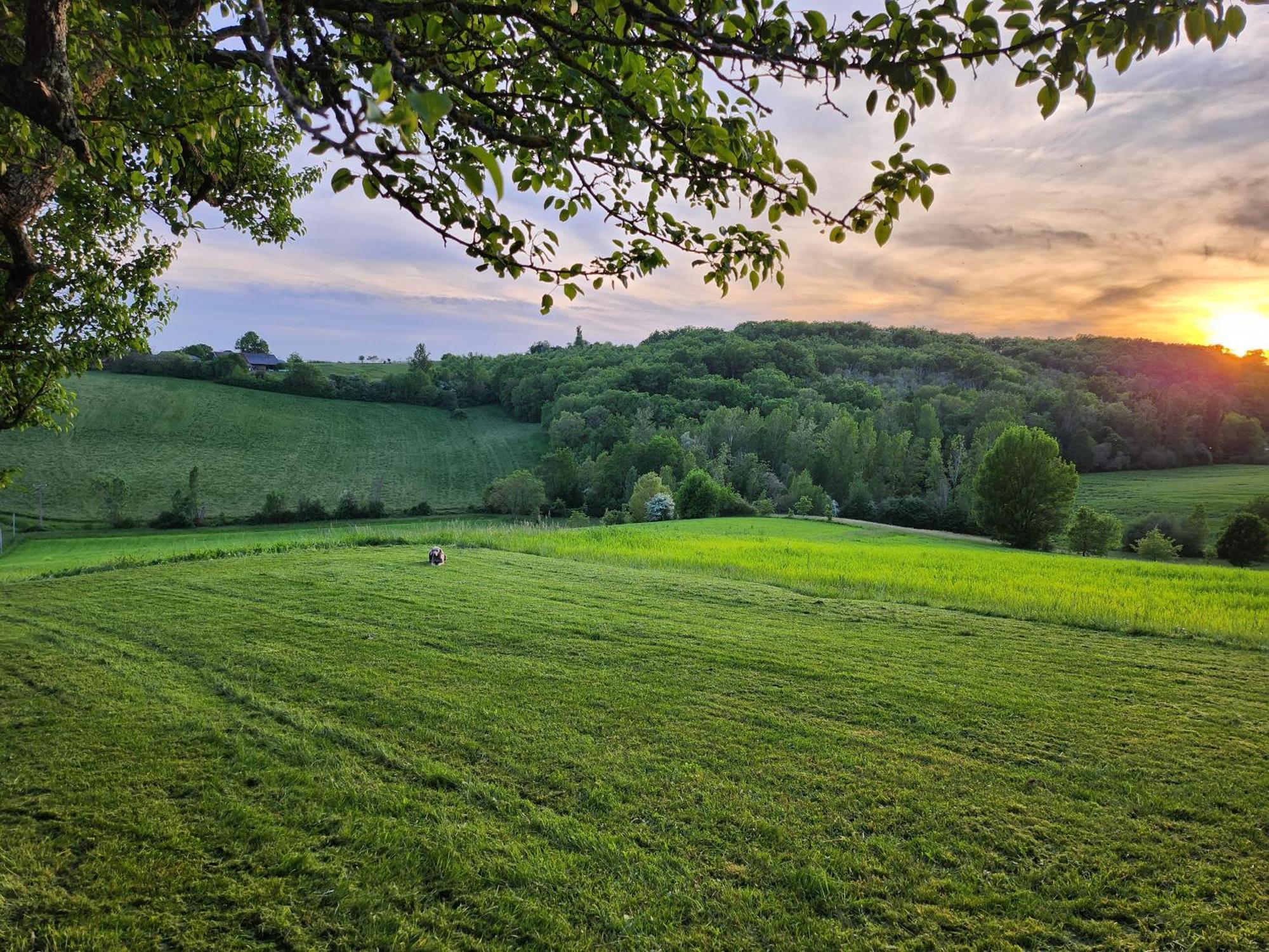 Domaine De Massoulac Molieres  Exterior photo